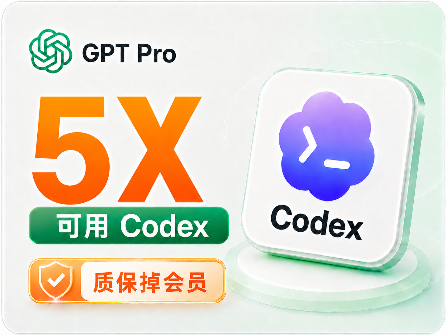 GPT Pro 5X 官方代充30天(只质保掉会员)